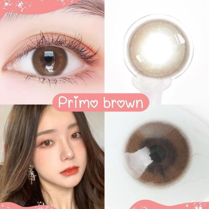 Mini Primo Brown ☆ Kitty Kawaii