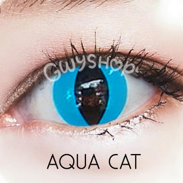 Aqua Cat ☆ Urban Layer