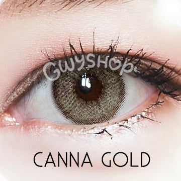 Canna Gold ☆ Sugoi Eyes