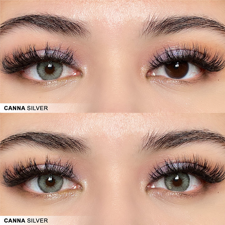 Canna Silver ☆ Sugoi Eyes