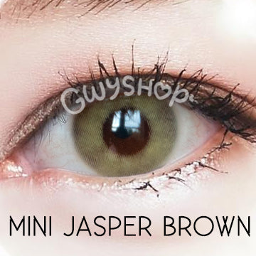 Mini Jasper Brown ☆ Kitty Kawaii