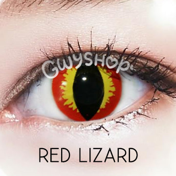 Red Lizard ☆ Urban Layer