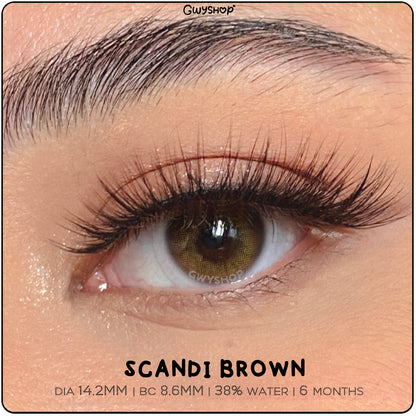 Scandi Brown ☆ Gaezz Secret