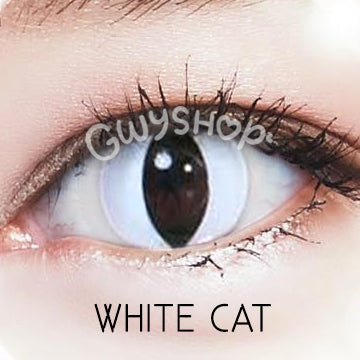 White Cat ☆ Urban Layer