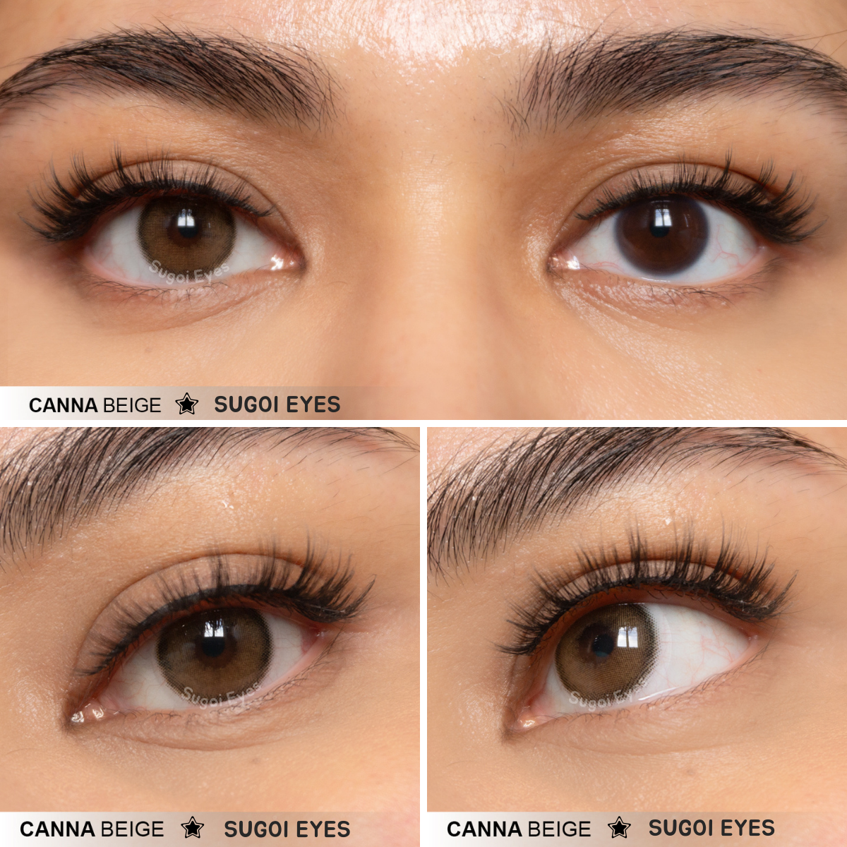 Canna Beige ☆ Sugoi Eyes