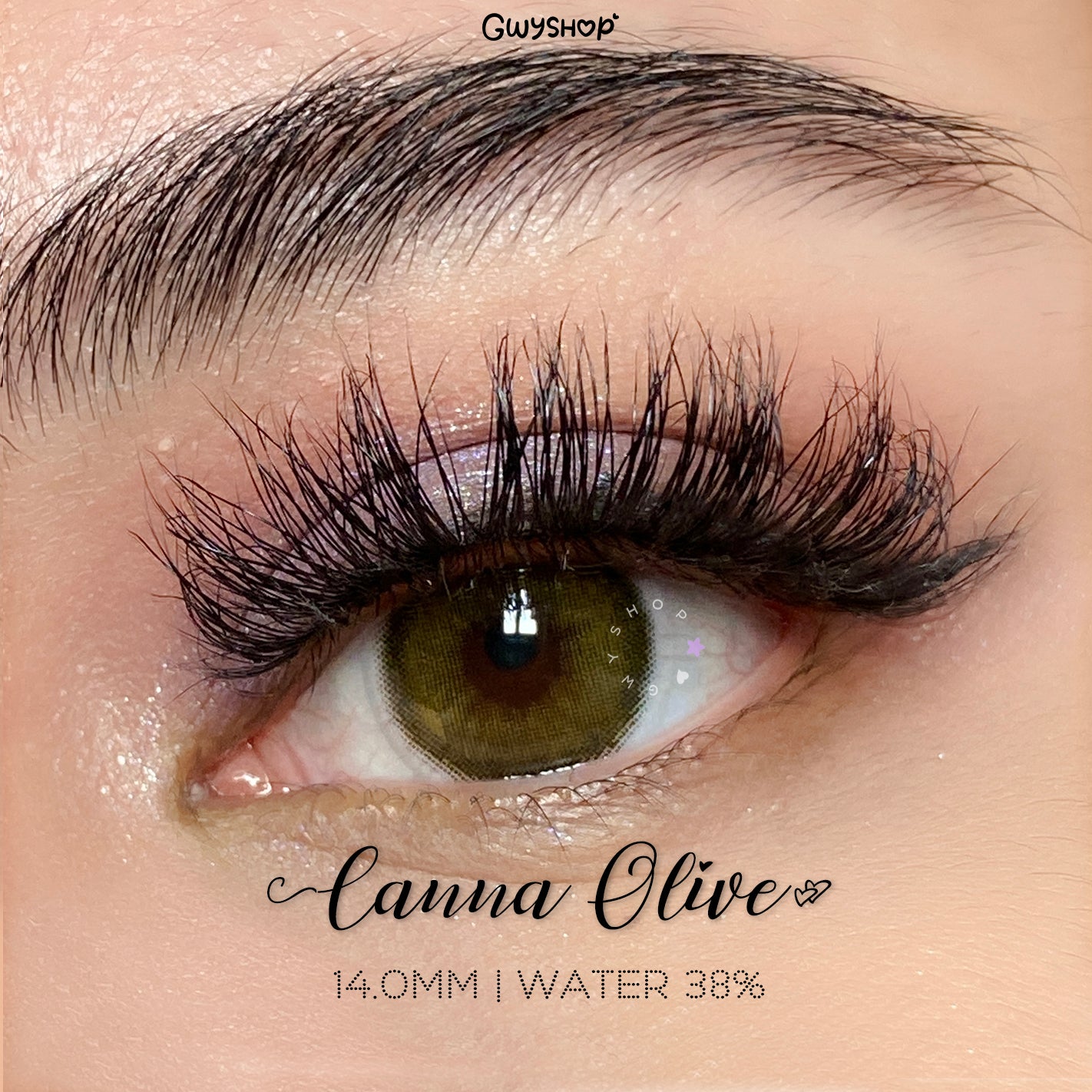 Canna Olive ☆ Sugoi Eyes
