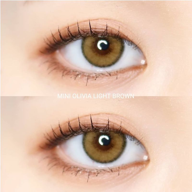 Mini Olivia Light Brown ☆ Kitty Kawaii