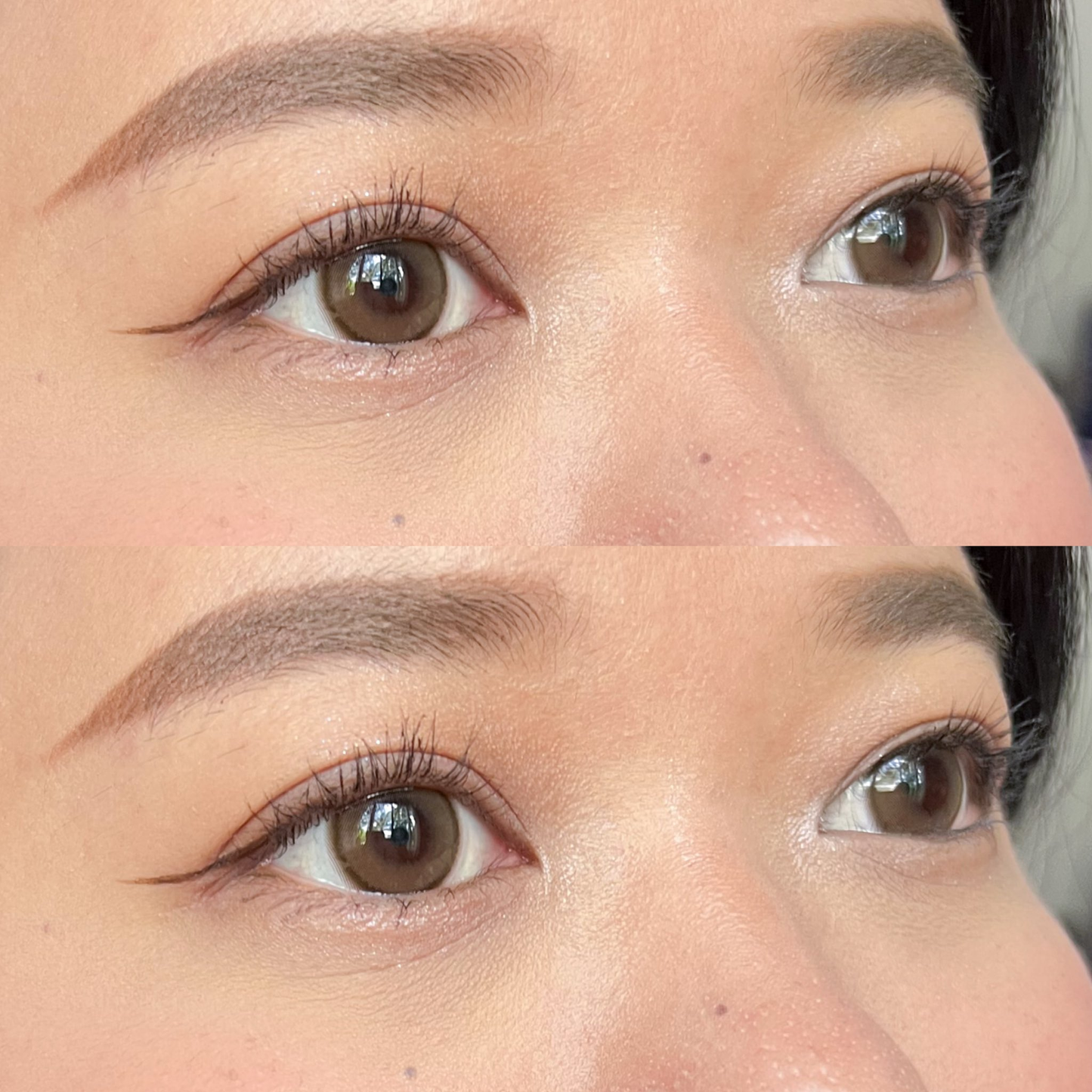 Mini Julia Light Brown ☆ Kitty Kawaii