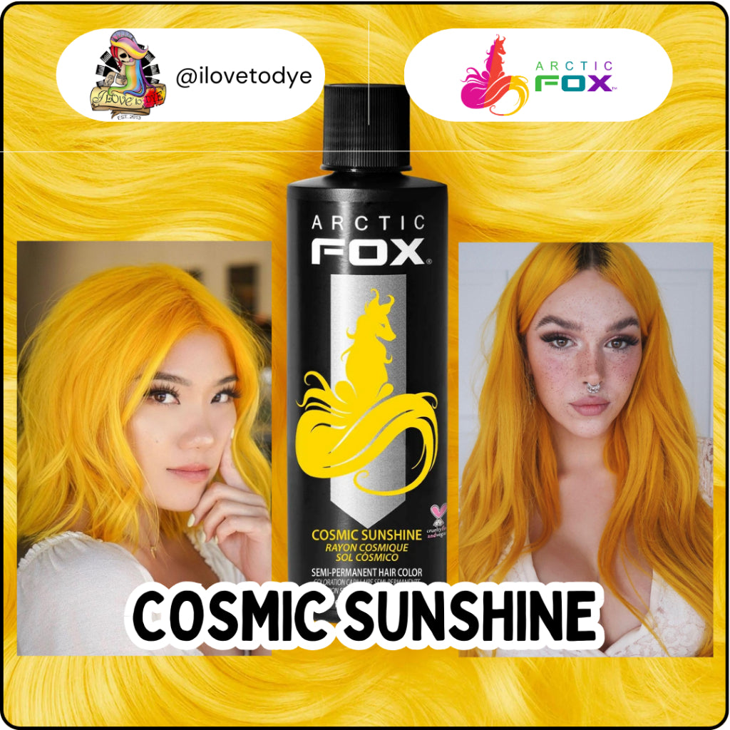 Arctic Fox Cosmic Sunshine