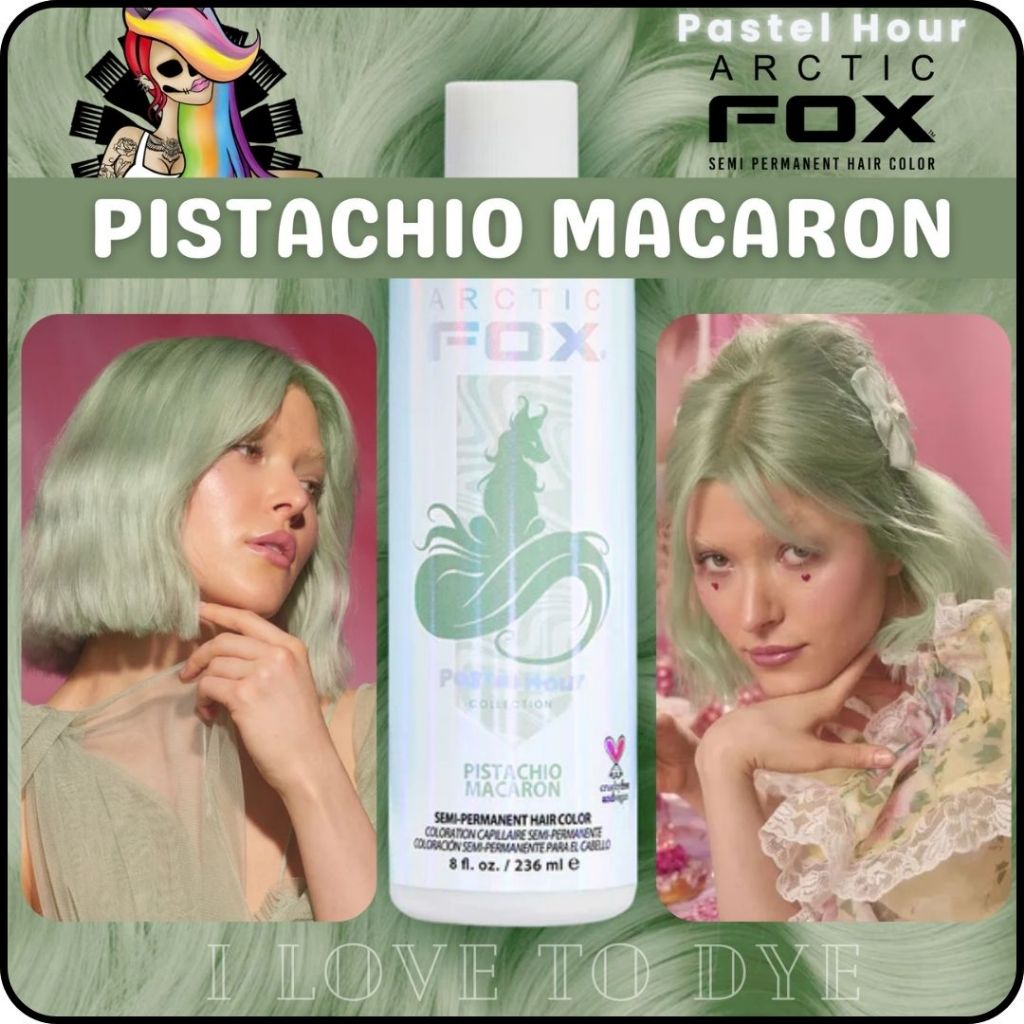 Arctic Fox Pistachio Macaron Pastel Hour