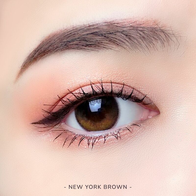 New York Brown ☆ Kitty Kawaii