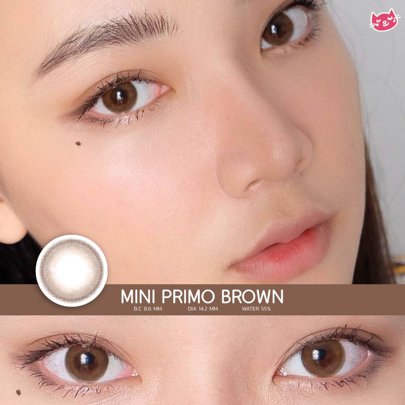 Mini Primo Brown ☆ Kitty Kawaii