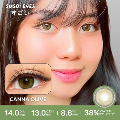 Canna Olive ☆ Sugoi Eyes