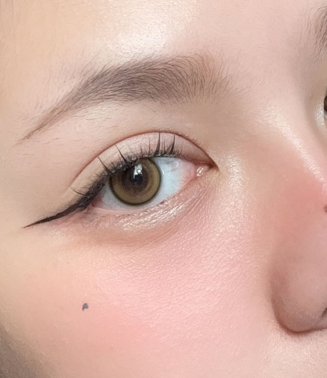 Mini Dawn Light Brown ☆ Kitty Kawaii