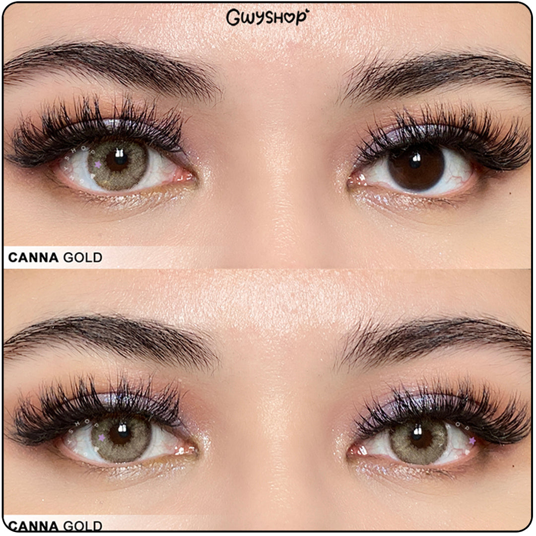 Canna Gold ☆ Sugoi Eyes