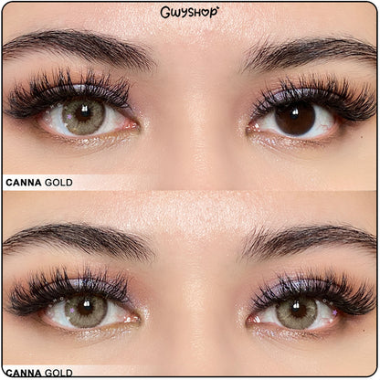 Canna Gold ☆ Sugoi Eyes