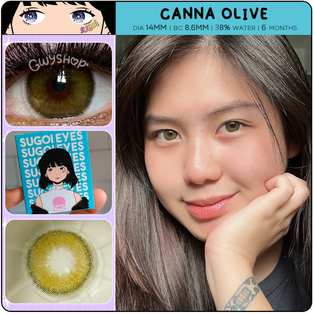 Canna Olive ☆ Sugoi Eyes