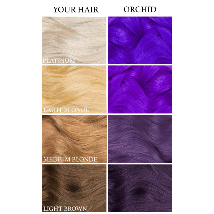 Lunar Tides Orchid Purple