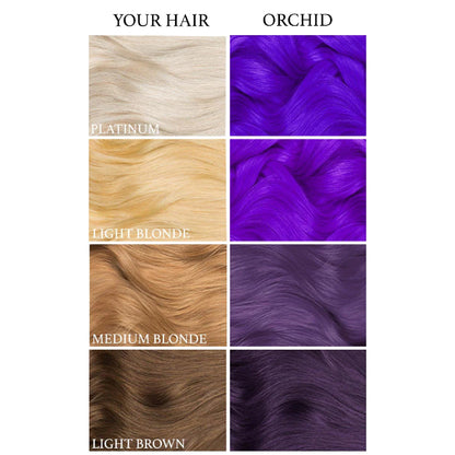 Lunar Tides Orchid Purple