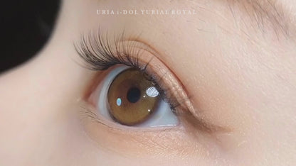 Yurial Royal Brown ☆ Uria